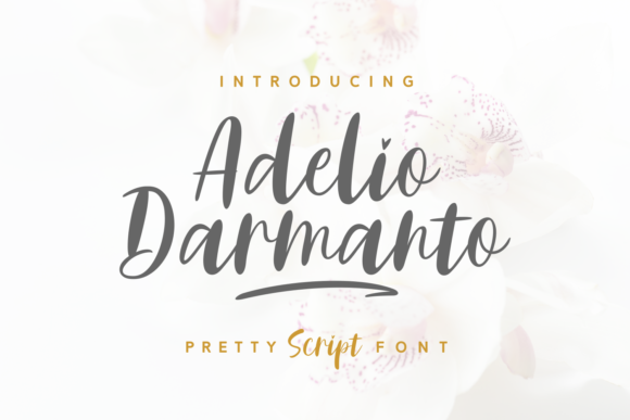 Adelio Darmanto: A Script Handwritten Typeface for Modern Feminine Branding