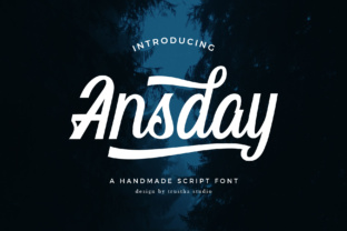 Ansday: The Handmade Script Font for Campaign Branding