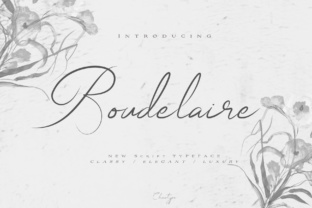 Boudelaire Script Font for Elegant Brand Identity