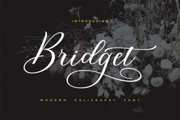 Bridget Script: Modern Calligraphic Typeface for Digital Design