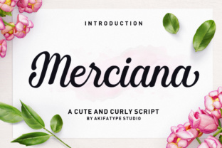 Merciana Script Font for Vintage Brand Identity