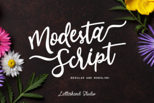 Modesta Script: The Perfect Handwritten Font for Feminine Branding