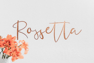 Rossetta: A Feminine Script Font for Modern Digital Branding