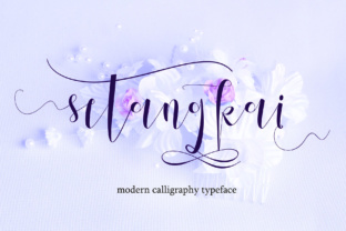 Setangkai Script: Elevating Brand Identity with Modern Elegance