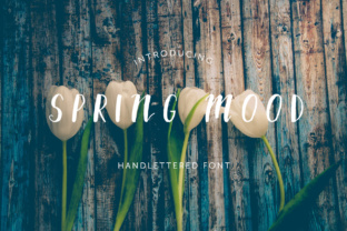 Spring Mood Typeface Review: Elevating Editorial Design